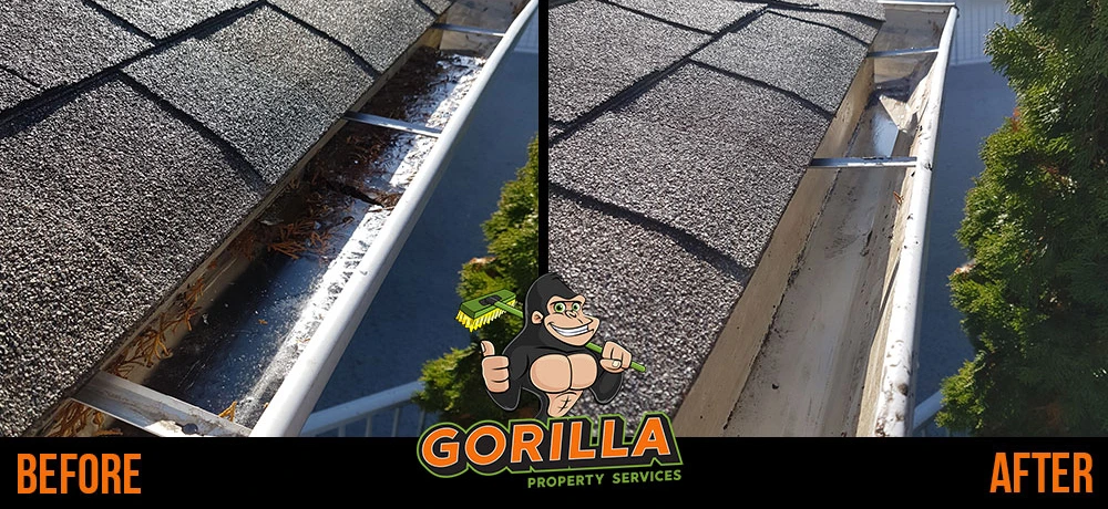 Brantford gutter cleaning