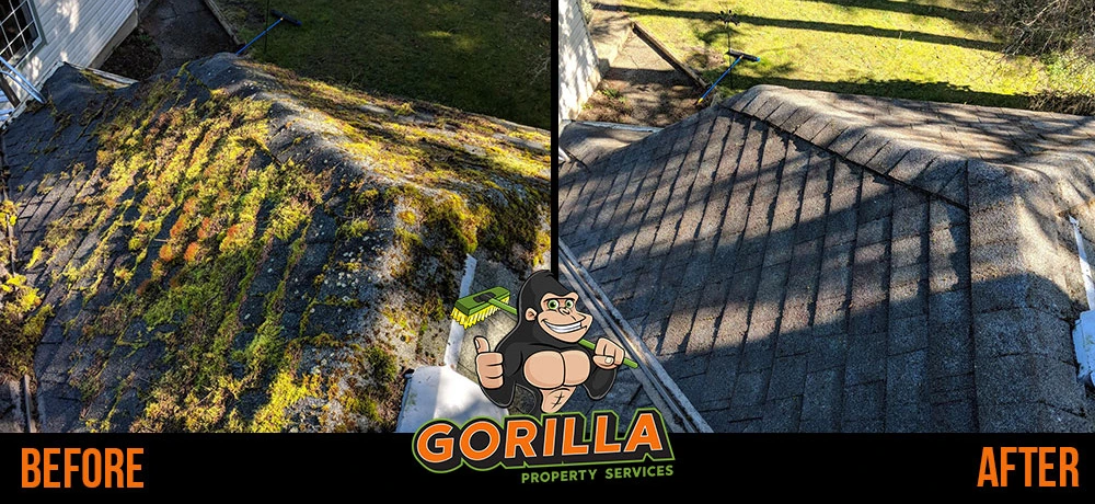 Brantford roof cleaning