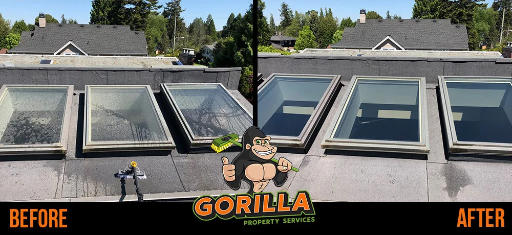 Brantford window cleaning