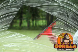 Mississauga window cleaning