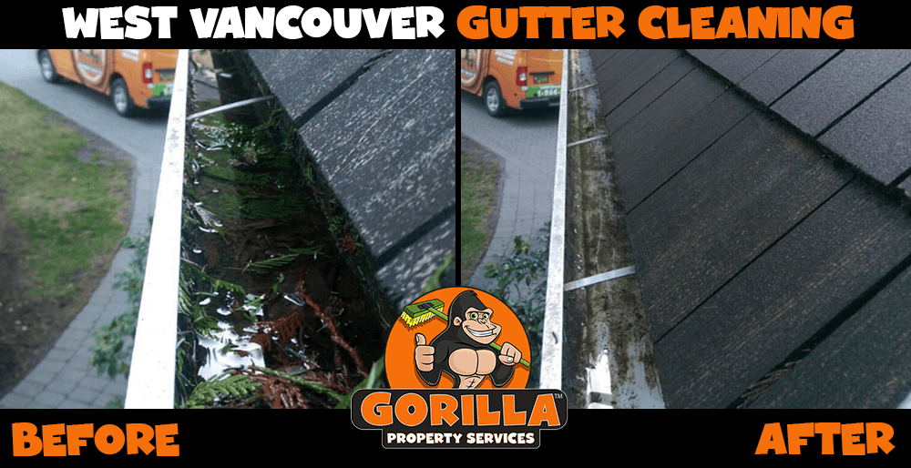 west vancouver gutter cleaning