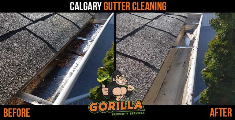 Calgary Gutter Cleaning