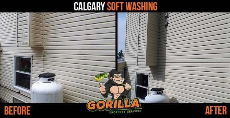 Calgary Soft Washing