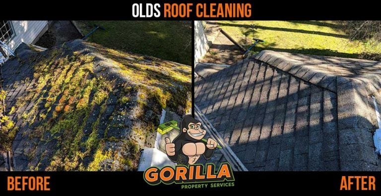 Olds Roof Cleaning & Moss Removal