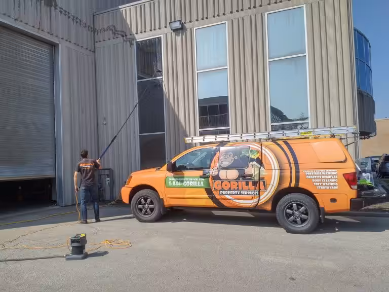 A Clear Vision For Window Care