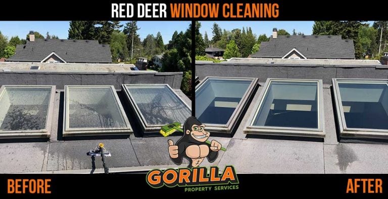 Red Deer Window Cleaning
