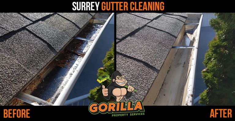 Surrey Gutter Cleaning