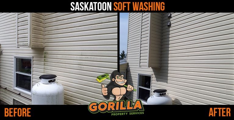 Saskatoon Soft Washing