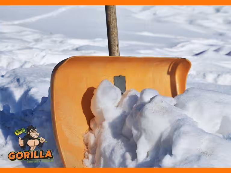 The Benefits of Professional Snow & Salting Services