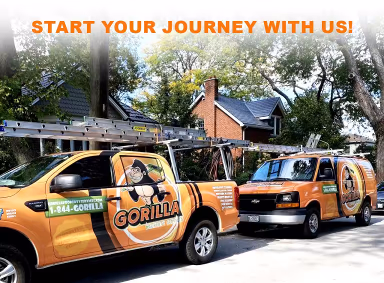 Franchise with us! Become a Gorilla today!