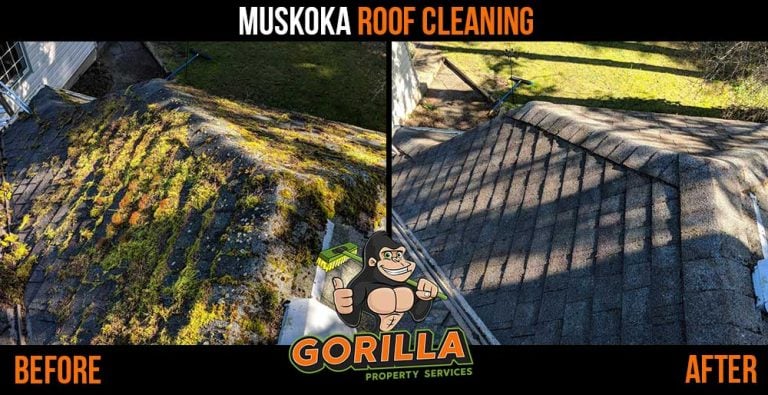 Muskoka Roof Cleaning & Moss Removal