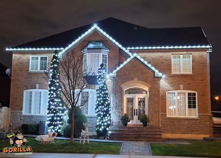 Let Gorilla Team prepare your house before the Holiday!