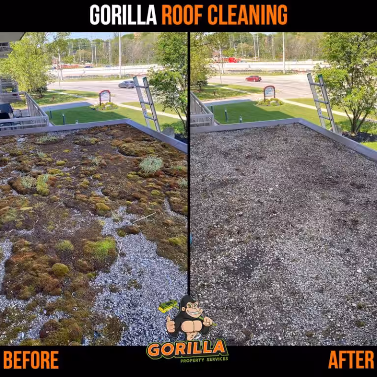 Why gutter and roof cleaning should be at the top of your home maintenance list