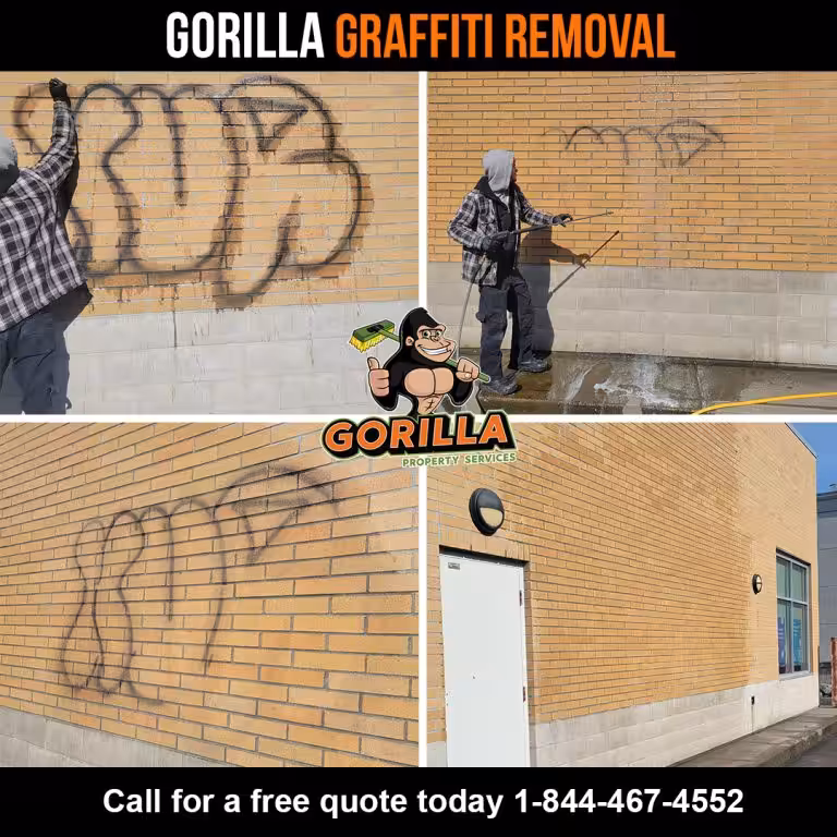 The Benefits of Professional Graffiti Removal