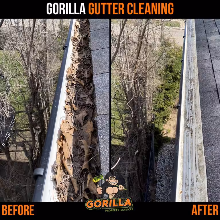 Why you should clean your gutters before winter?