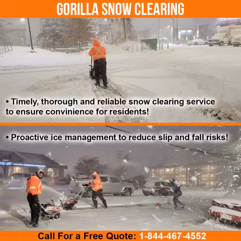 Clear the Way: The Benefits of Professional Snow Clearing Services