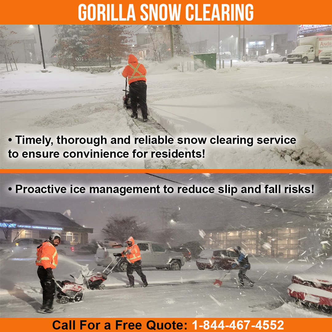 Clear the Way: The Benefits of Professional Snow Clearing Services