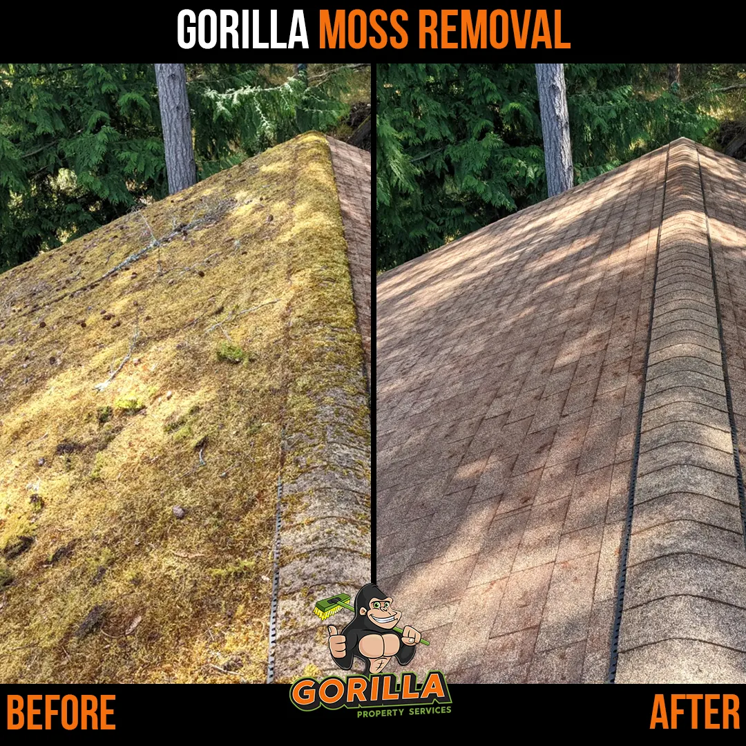The Benefits of Professional Roof Cleaning and Moss Removal
