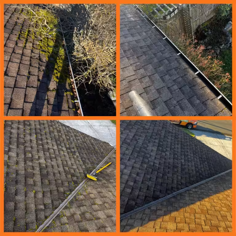 Why Gutter and Roof Cleaning Should Be at the Top of Your New Year’s Resolution List